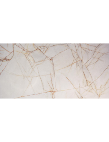 0017238 SPR.HEDON. GOLD SPID. LUX 3D R 60X120 (1 сорт)