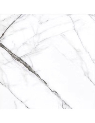 CK6Y246PA ADRIATICA (1 сорт)