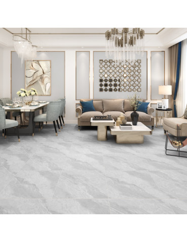 JW69101 DION (1 сорт)