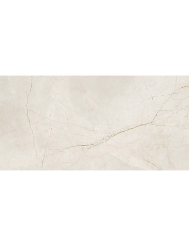 0011859 SPR.MEMOR. PULPIS IVO. ANT R60X120 (1 сорт)