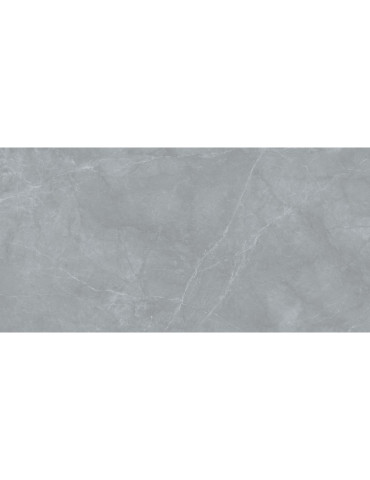 CK126-9MY035PA BLUE OCEAN GREY (1 сорт)