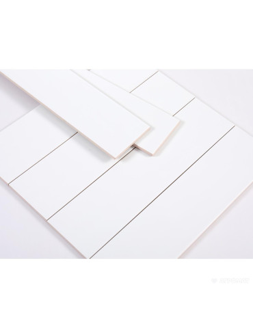 GMS1301 WHITE GLOSSY (1 сорт)