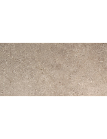 LST52RT LST TAUPE 60X120 RETT (1 сорт)