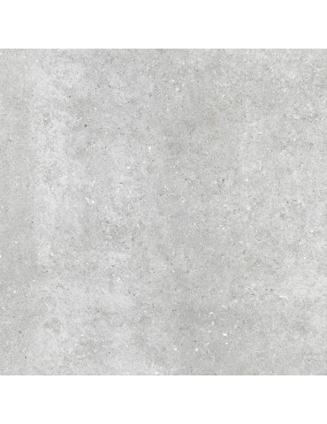 Flax сірий світлий 6060 169 071/SL (1 сорт)