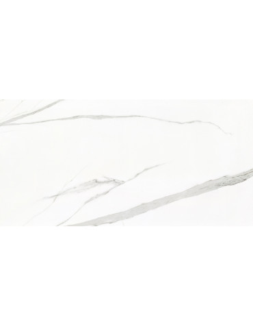 GBT750201 KASSABLANCA (1 сорт)