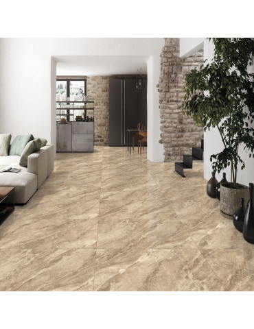 NIKOLUX BROWN POL ### (1 сорт)