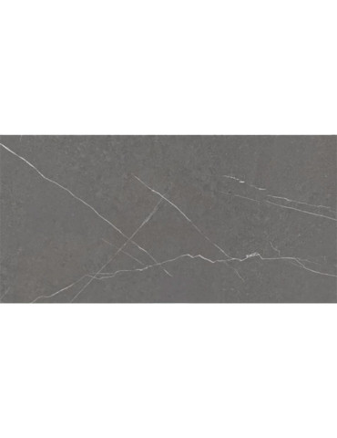 CAPRI DARK (1 сорт)