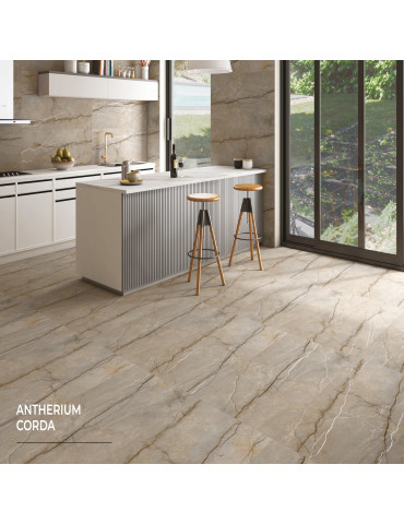 ANTHERIUM CORDA (1 сорт)