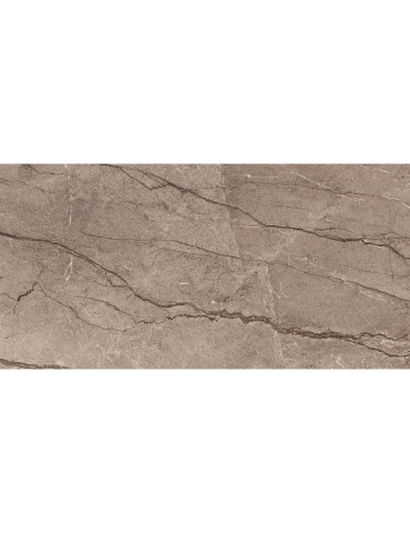 Y189J196P SHANGRILA (1 сорт)