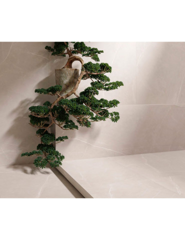 ADRIA LATTE RECT (1 сорт)