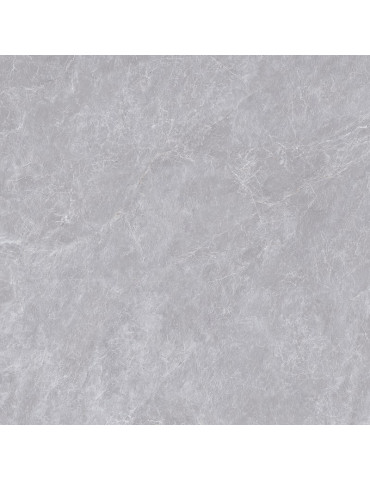 66Z503E2 ANDALUCIA (1 сорт)