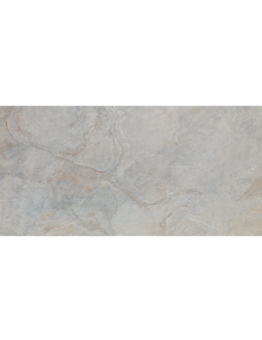 IMAGE SILVER 59,6X120(A) (1 сорт)