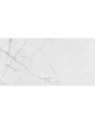 GELSA PERLA (1 сорт)