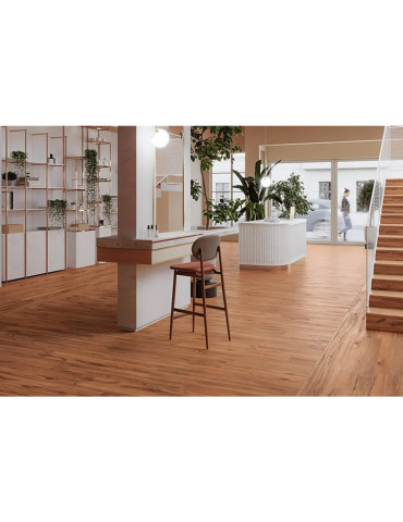 BASE LIZANA CEREZO C-1 (1 сорт)