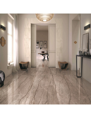 Y189J196P SHANGRILA (1 сорт)