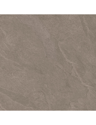 AURA ASH MT PRI (1 сорт)