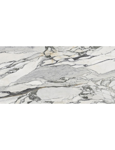 PS3D751501 LILAC PICASSO (1 сорт)