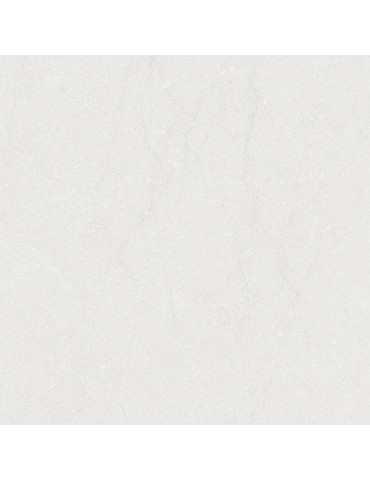 DUSTER сірий світлий 6060 04 071 (1 сорт)