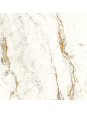 BARNABY WHITE LAP (1 сорт)