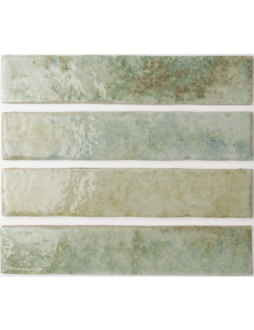 133176 POTTERS AGAVE (1 сорт)