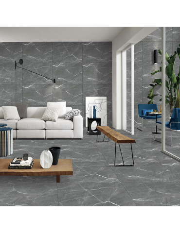 BAGIRA GRIS (1 сорт)