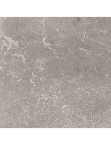 CONCEPT GREY RECTIFICADO 60х60 (1 сорт)