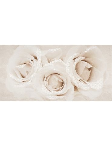 CAMELIA INSERTO FLOWER (1 сорт)