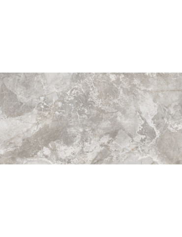 PRIS.LAB.LEYENDA GRIGIO (1 сорт)