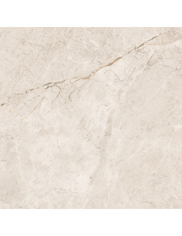 SALACIA FUSION (1 сорт)