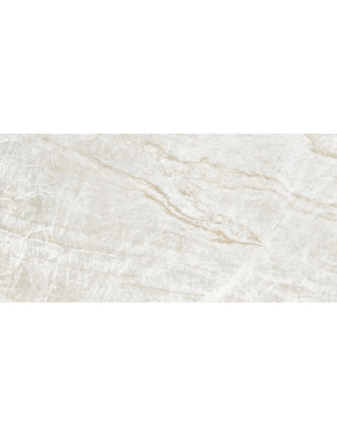 EC.KRAKEN LAPATTO (1 сорт)