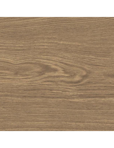 DOUGLAS6 2015 (1 сорт)