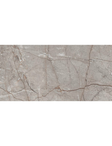 RADDIX GRISS (1 сорт)