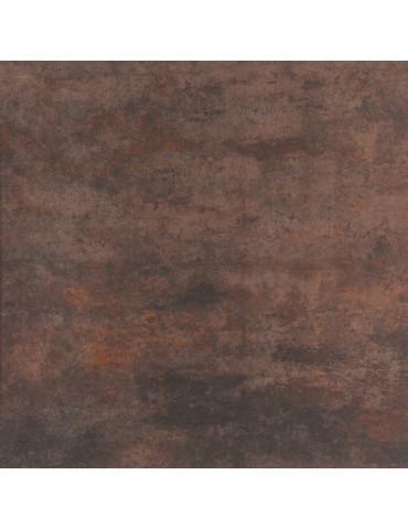 TRENDO BROWN (1 сорт)