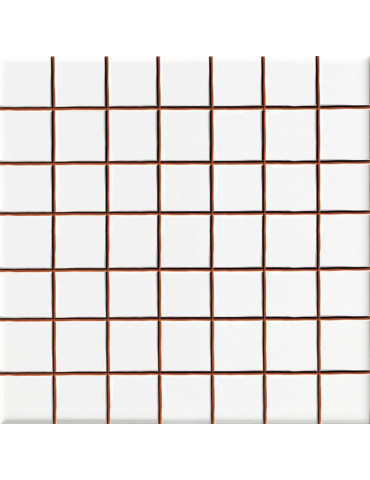 BLANCO LISO BRILLO 2,5X2,5 (1 сорт)