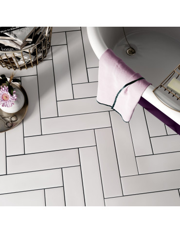 25889 STROMBOLI WHITE PLUME (1 сорт)