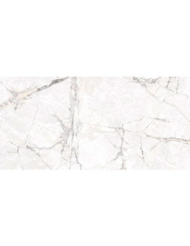 BORGIA BLANCO (1 сорт)