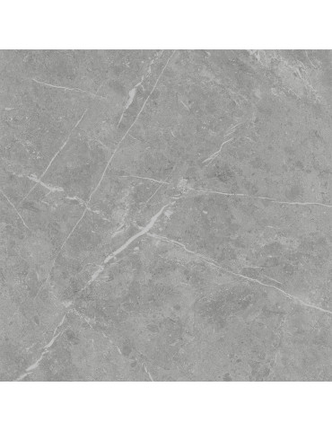 Belini сірий світлий 6060 201 071/MR (1 сорт)