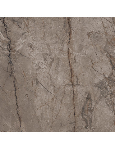 DOUGLAS BROWN MATT (1 сорт)