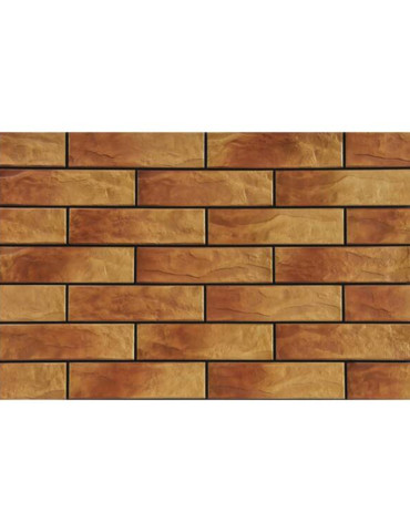 ELEWACJA RUSTICO DAKOTA (1 сорт)