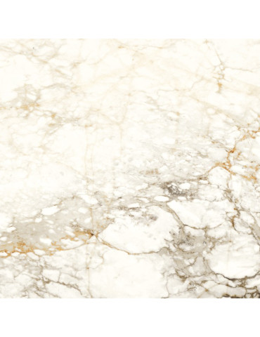 BARNABY WHITE LAP (1 сорт)