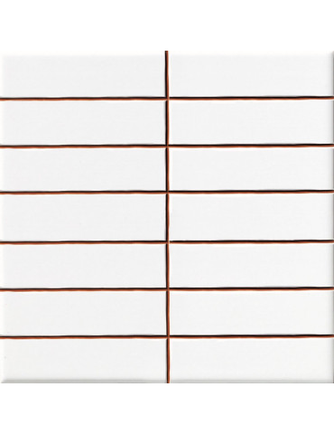 BLANCO LISO BRILLO 2,5X10 (1 сорт)