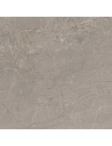 TEMPO ASH MT (1 сорт)