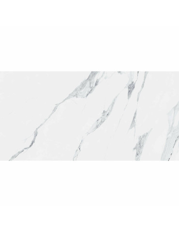 K1264334YAM MAESTRO (1 сорт)