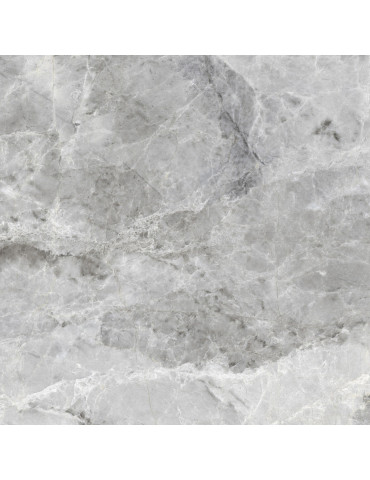 CB6Y1172PA MISTY GRI### (1 сорт)