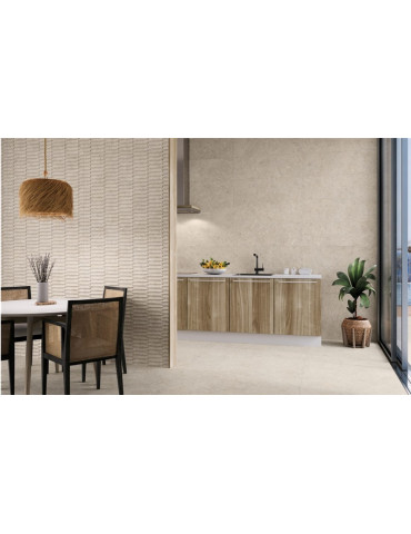 CORALSTONE CTN (1 сорт)