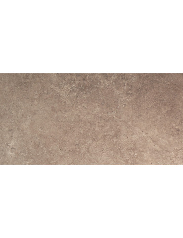 LST62RT LST EARTH 60X120 RETT (1 сорт)