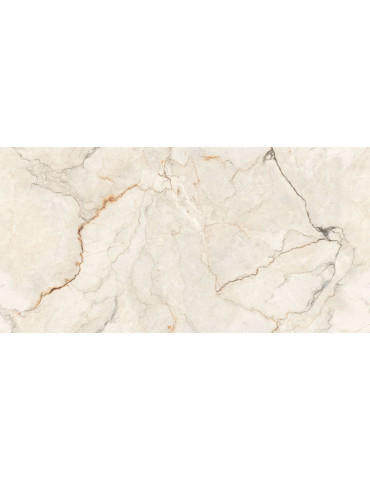 INFINITY BOTTOCHINO LAMOS ### (1 сорт)