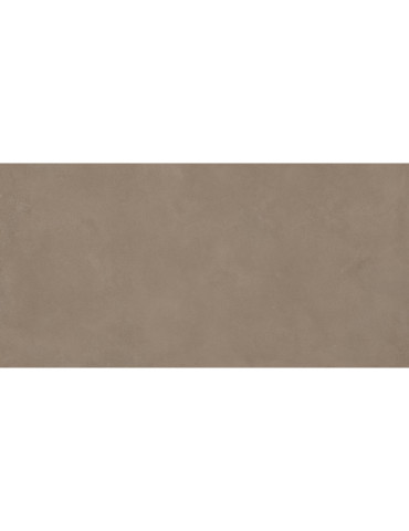 RTN6 MOUSS12 RM (1 сорт)