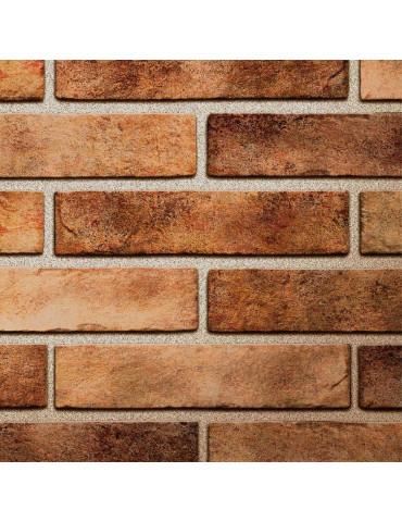 SEVEN TONES оранж 34Р010 (1 сорт)