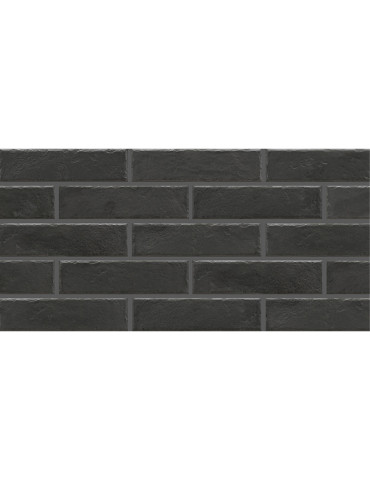 ELEWACJA FOGGIA NERO (1 сорт)